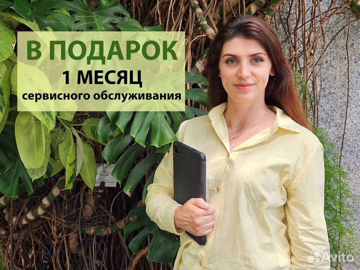 Фитостена из живых растений