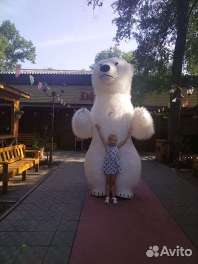 Поздравление от большого мишки