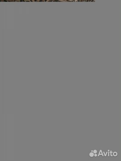 Одежда для девочки рост 98