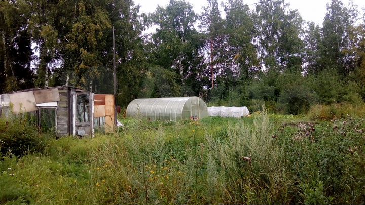 Участок 12 сот. (СНТ, ДНП)