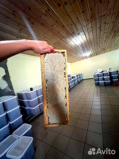 Мёд Алтайский 2023 год. С пасеки