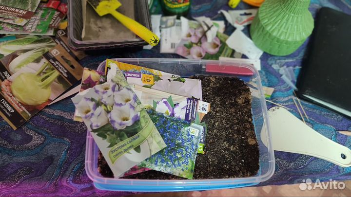 Грунт для рассады