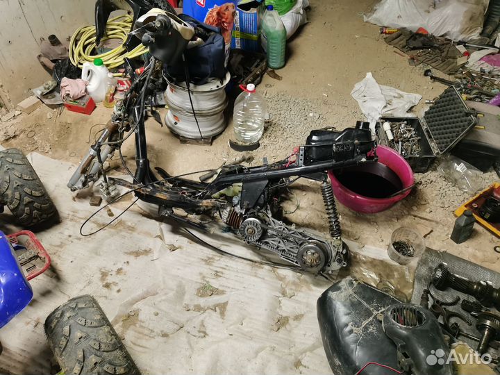 Stels vortex tactic skif