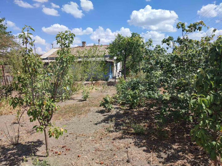 Дом 60 м² на участке 50 сот.