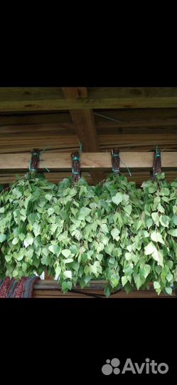 Продам Березовые веники, изготовление под заказ