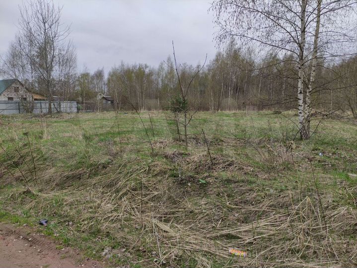 Участок 10 сот. (ИЖС)