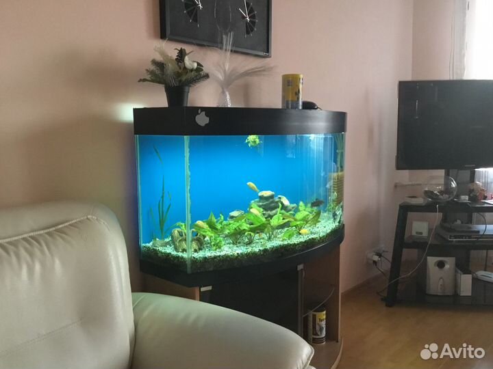 Аквариум панорамный 200л