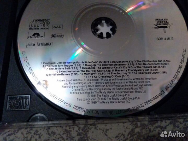 Highlights from Cats