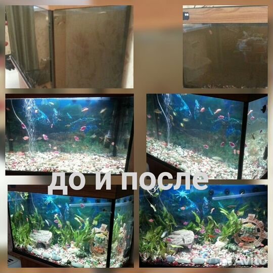 Чистка аквариумов Москва и Московская обл