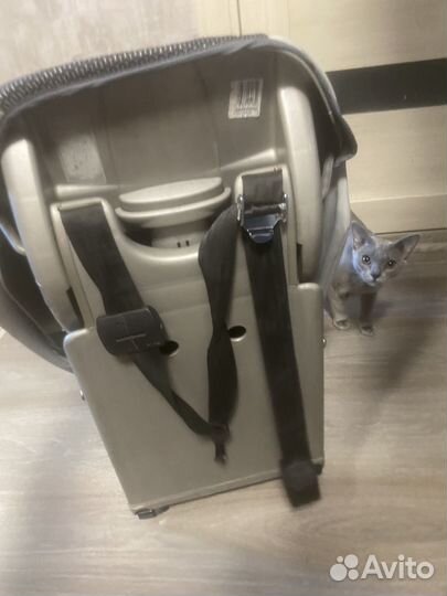 Автомобильное кресло