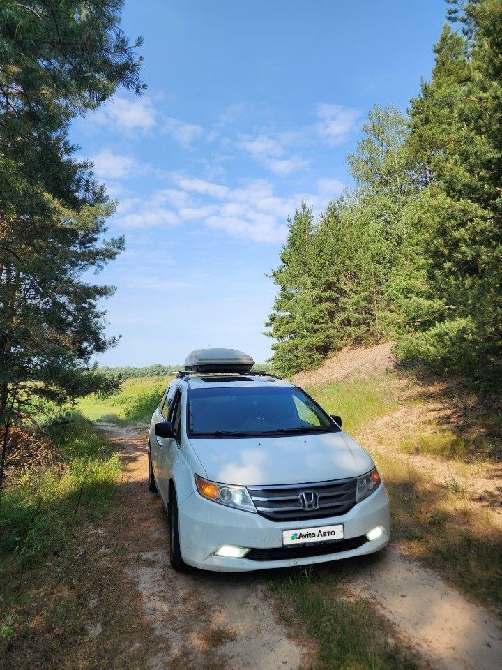 Honda Odyssey (North America): фото из отзыва