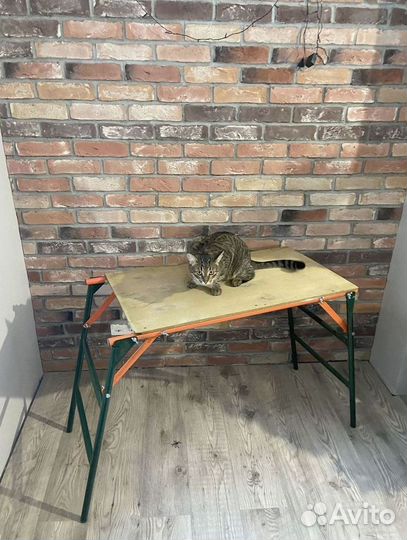 Столик малярный, козел строительный