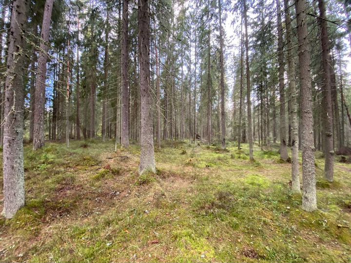 Участок 28 сот. (ИЖС)