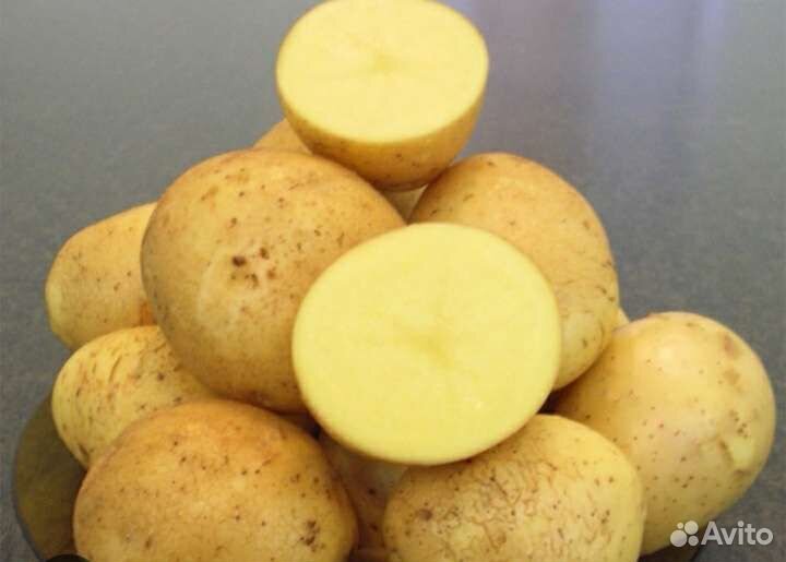 Картофель, яйцо домашнее, свекла