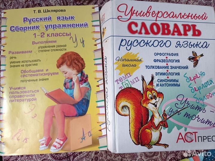 Универсальный словарь по русскому для школы