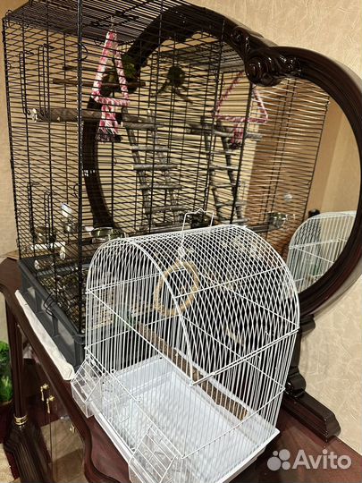 Клетка для попугая