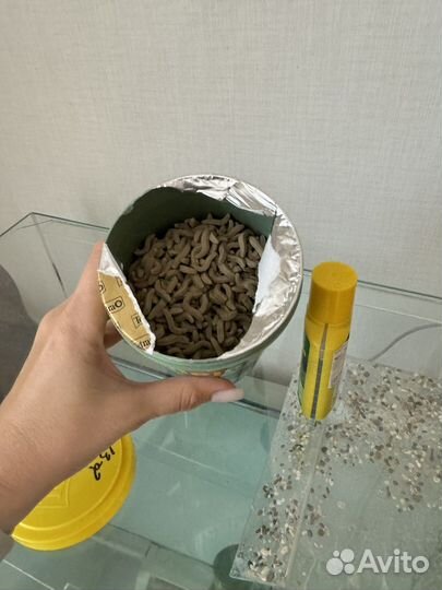 Аквариум для черепахи