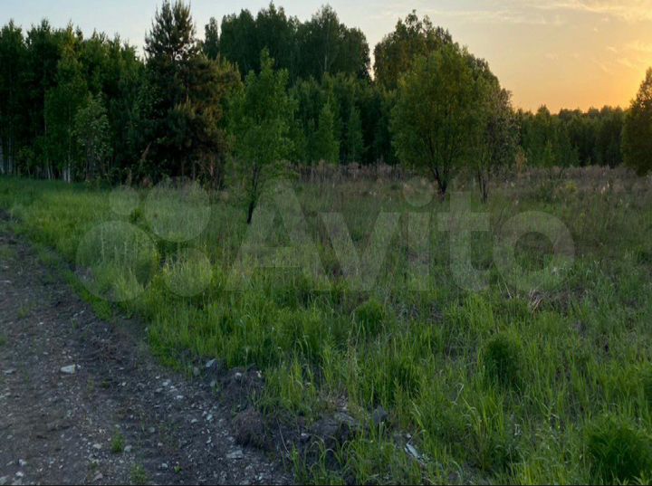 Участок 20 сот. (СНТ, ДНП)