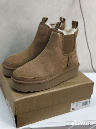 Угги жeнские Ugg chеlseа Челси