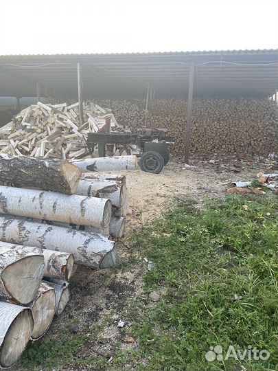 Осина Береза колотая