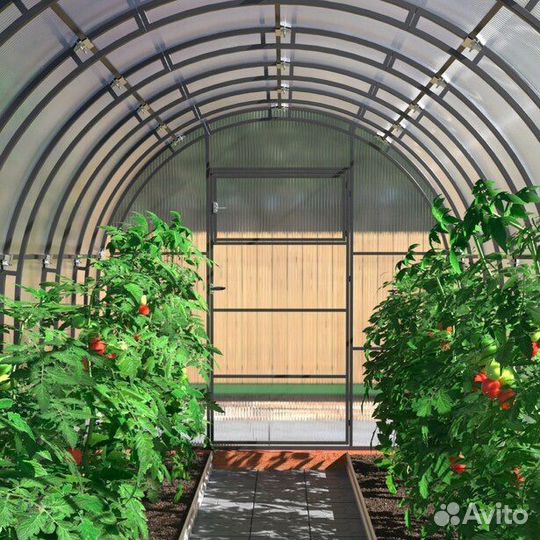 Арочная теплица двойная дуга