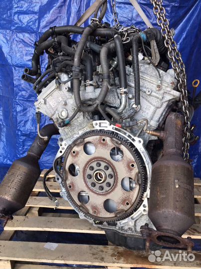 Двигатель Toyota 4Runner N210 1grfe 2005