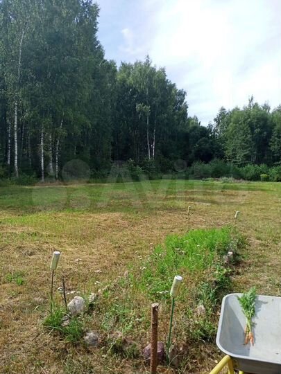 Участок 40 сот. (СНТ, ДНП)