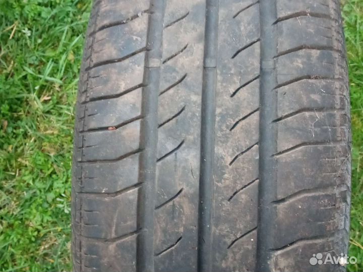 Sava Perfecta 185/65 R14