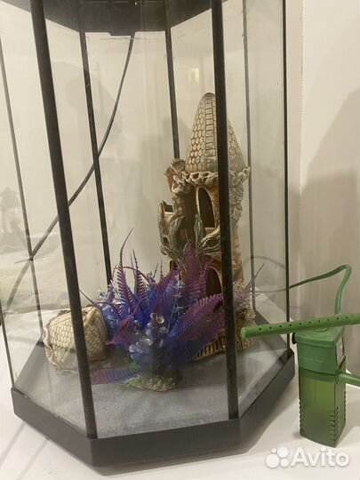 Аквариум для рыбок