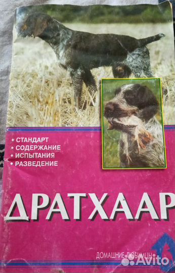 Дратхаар,куцхаар, легавые