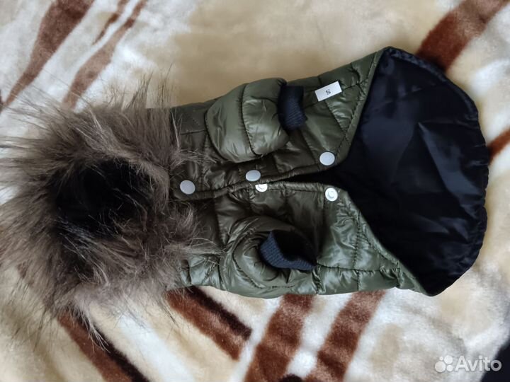 Одежда для собак