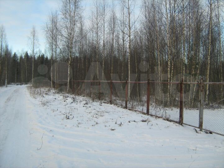 Участок 10 сот. (СНТ, ДНП)