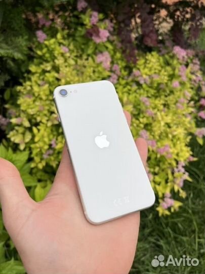 iPhone SE (2020), 64 ГБ