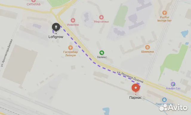 Стимулятор Start Up plagron 250мл