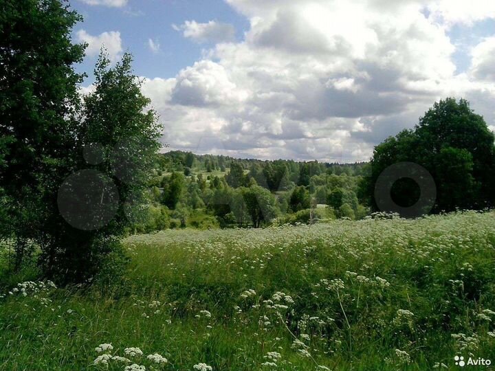 Участок 50 сот. (ИЖС)