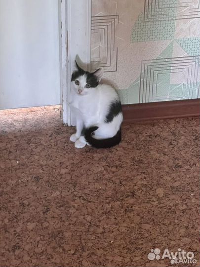 Мальчик красавчик