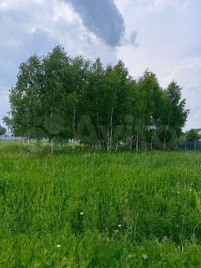 Участок 12 сот. (СНТ, ДНП)