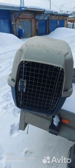 Переноска для средних собак номер 4