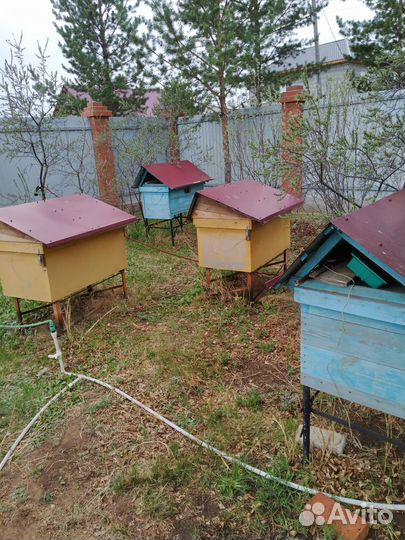 Улей лежак на 24 стандартные рамки Дадан