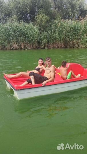 Катамаран Волгодонск