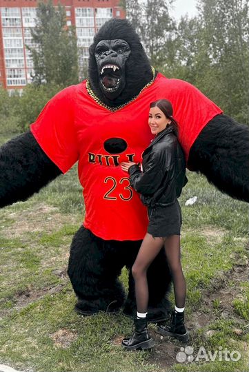 Ростовая кукла Кинг Конг поздравления