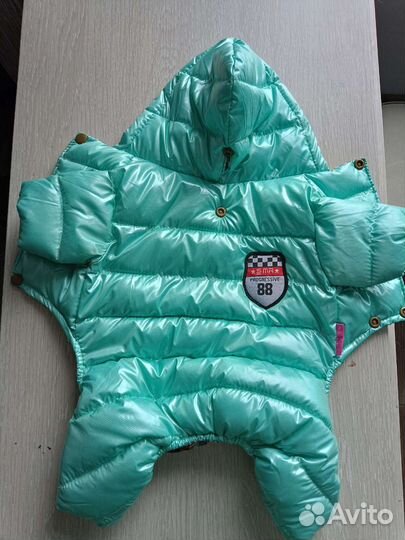 Комбинезон для маленькой собаки