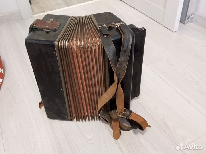 Баян кунгур