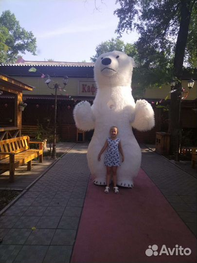 Поздравление от большого мишки