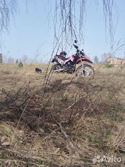 Irbis gr 250 и ttr 250r обмен 2-х мотоциклов