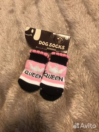 Одежда для собак