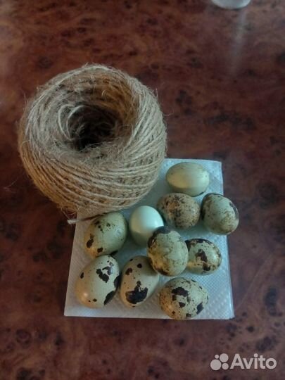 Яйцо перепелинное