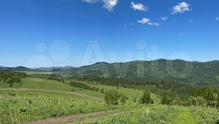 Участок 39,9 сот. (СНТ, ДНП)