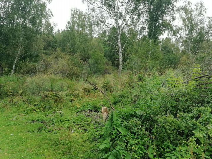 Участок 18 сот. (ИЖС)