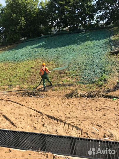 Гидропосев газона